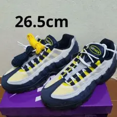 Eric Koston Nike SB Air Max 95