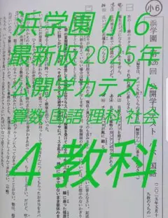 祝❕合格値下げ‼️ほぼ無記入☆【最新版】浜学園　日曜志望校別特訓　4教科 2026年最新】浜学園 テキストの人気アイテム - メルカリ