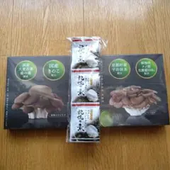 Item thumbnail for item 8c6e9acb-51ca-4ec6-b632-f98e617a94f5