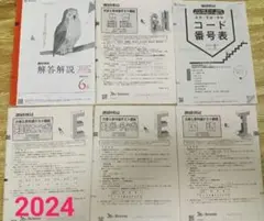 進研模試 大学入学共通テスト模試 2024年6月 解答解説 国語 英語 地歴