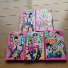 総長さま、溺愛中につき。6〜10巻