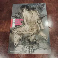 Sorayama Call in Beauties(ソラヤマ・コール・イン・ビ…