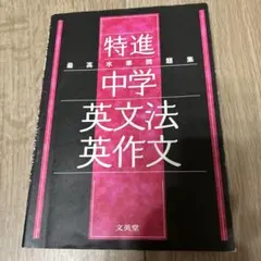 yoyoyo様 リクエスト 2点 まとめ商品