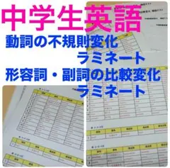 中学生英語　動詞の不規則変化、形容詞・副詞の比較変化　暗記ラミネート加工