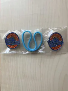 backnumber 缶バッジ シリコンバンド カプセルトイ ピンバッジ まとめ