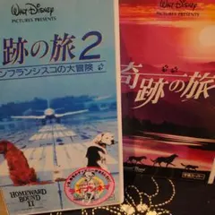 オロチョン様 リクエスト 2点 まとめ商品