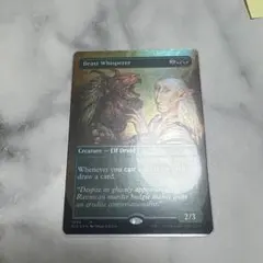 MTG TSR FOIL Beast Whisperer 獣に囁く者 旧枠 - メルカリ