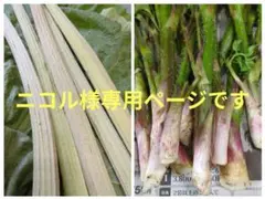②ニコル様専用ページです