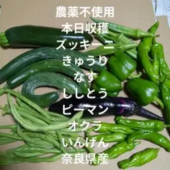 農薬不使用　ズッキーニ　胡瓜　オクラ　ピーマン　なす　野菜　セット　詰め合わせのサムネイル