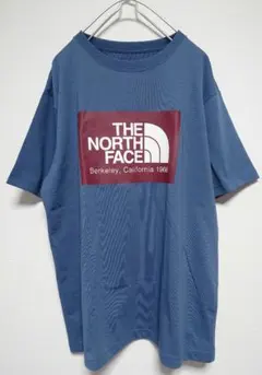 THE NORTH FACE ネイビー ロゴ Tシャツ メンズサイズXL
