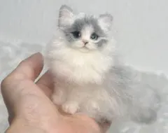 羊毛フェルト 猫ブローチ　ラグドール