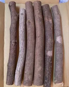 クロモジ 枝 ④