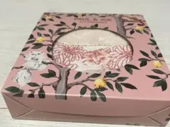PAUL&JOEのサムネイル