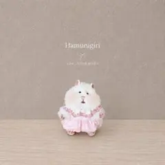 2077. はむにぎり ぬい服 ෆ̈ レース つけ襟 & かぼちゃパンツのサムネイル