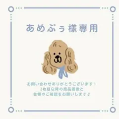 あめぷぅ様 リクエスト 2点 まとめ商品