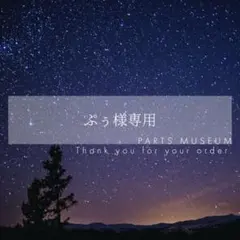 【お客様専用ページ】ぷぅ様　10/20まで♡