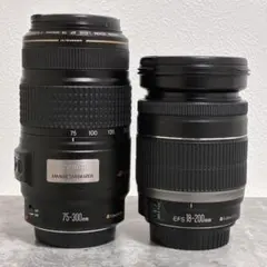 ☆超望遠600mmレンズ CANON EF 90-300 ＋ 2倍レンズ - メルカリ