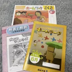 2026年最新】予習シリーズ 6年の人気アイテム - メルカリ