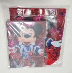 ディズニーリゾート イマジニングザマジック ミッキー＆ミニー 写真集