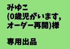 みゆこ(0歳児がいます,オーダー再開)専用出品 ペルシャネコ