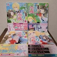 どうも、悪役にされた令嬢ですけれど 4冊