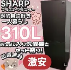 ★534　冷蔵庫　SHARP　一人暮らし　300㍑-400㍑　安い　設置無料のサムネイル