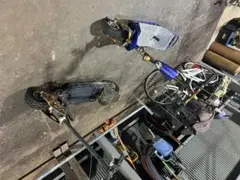 Item thumbnail for item dd15febe-3751-459f-aba3-30097c551a57