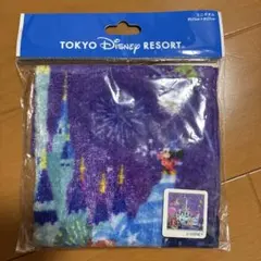 【新品未使用】東京ディズニーリゾート イッツアスモールワールド ミニタオル