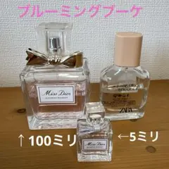2026年最新】nude bouquet zaraの人気アイテム - メルカリ