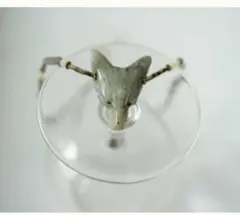 rippmonster fox? wolf?　Larvikite