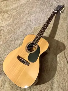 Eris. エリス Aproa アコースティックギター ココナッツミルク - メルカリ