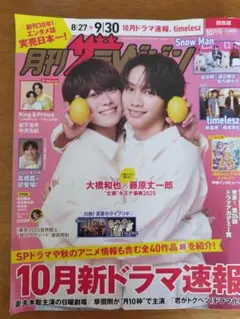 インディーズマガジン 10冊セット 2025年最新】Yahoo!オークション -インディーズcd(本、雑誌)の