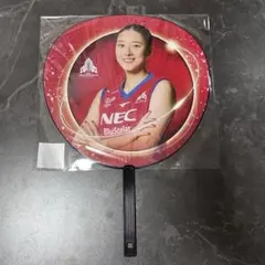 2025年最新】nec バレーの人気アイテム - メルカリ