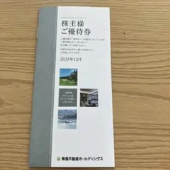 東急不動産ホールディングス　株主優待