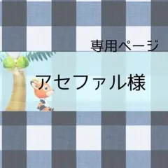 アセファル様 リクエスト 3点 まとめ商品