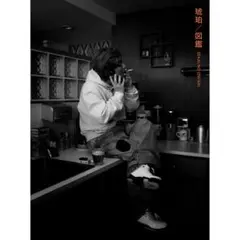琥珀/図鑑　初回限定盤A