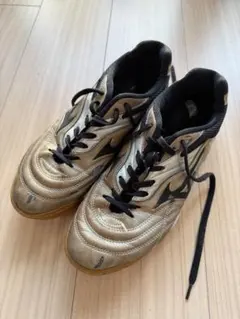 Item thumbnail for item 924bf7f8-fc99-4b8a-9827-e853e91aaebc