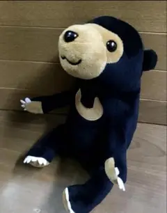 AQUA マレーグマ ぬいぐるみ [全高19cm] 動物園販売品　美品