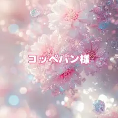 コッペパン様 リクエスト 2点 まとめ商品