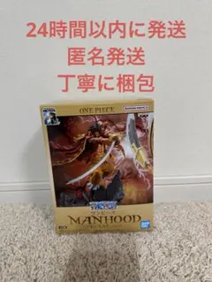 ワンピース ロジャー　MANHOOD SPECIAL ver.