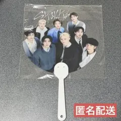 Stray Kids スキズ RUN IT 国立 アプグレ うちわ