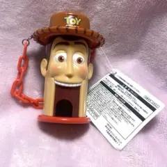 ディズニートイストーリーピクサー ラウンドアップ キャンバス