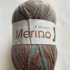 ⭐︎1676 Merino LANA GROSSA 海外ソックヤーン　中細