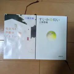 Item thumbnail for item 6cbaec5c-13ed-4e6b-ba60-634564afdc54