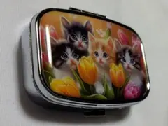 シマエナガ 夏 ピルケース 小物入れ ハンドメイド レジン - メルカリ