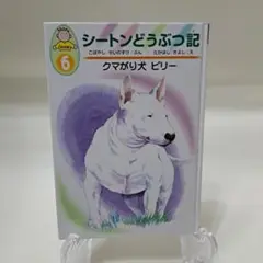 【最終値下げ】シートンどうぶつ記 6 クマがり犬 ビリー　幼児～小学校低学年向け
