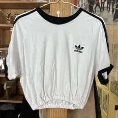 adidas クロップドTシャツ ホワイト/ブラックM
