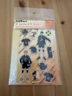 日向翔陽 影山飛雄アクリルスタンド キーホルダー