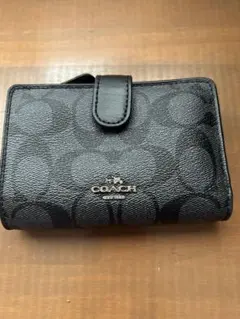 Item thumbnail for item 2365997b-e700-412c-87bc-87edb1cbef43