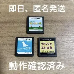 ニンテンドーDS ゲームソフト 3本セット
